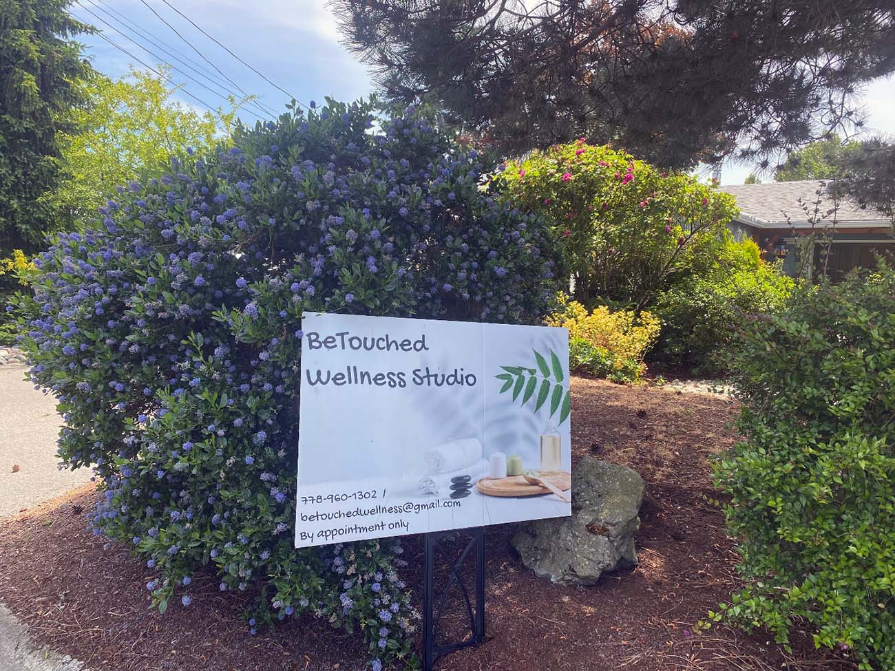 Sign in garden in front of studio